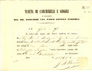 Documento originale, autentico 1873 SCANDICCI Villa CARCHERELLI Paolo GENTILE FARINOLA 1