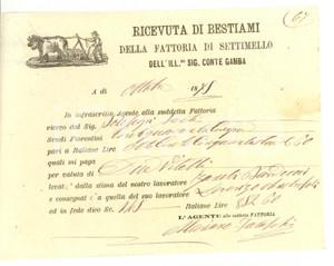 Documento originale, autentico 1878 SETTIMELLO FI Ricevuta  di bestiami fattoria del conte GAMBA 1