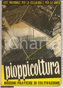 Libro, pubblicazione d epoca 1953 Nozioni pratiche di PIOPPICOLTURA libretto ENCC 1