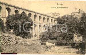 Cartolina originale da collezione 1925 Ariccia  Ponte Monumentale con vacche FP NV 1