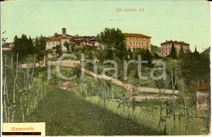 Cartolina originale da collezione 1908 GEMONIO (VA) Veduta con vigneti FP VG 1
