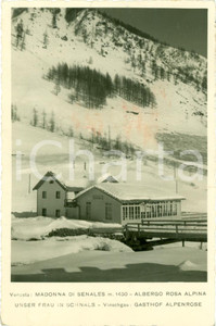 Cartolina originale da collezione 1952 MADONNA DI SENALES (BZ) L'albergo ROSA ALPINA Cartolina FP VG 1