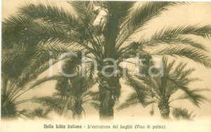 Cartolina originale da collezione 1935 ca LIBIA ITALIANA Estrazione del LEGHBI Vino di palma Cartolina FP NV 1