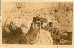 Cartolina originale da collezione 1928 TRIPOLI (LIBIA) Venditore verdure con cammello *Cartolina FP VG 1