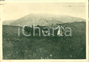 Cartolina originale da collezione 1937 MENDEFERA, ADI UGRI ERITREA Indigeno all aratro Cartolina FG VG 1
