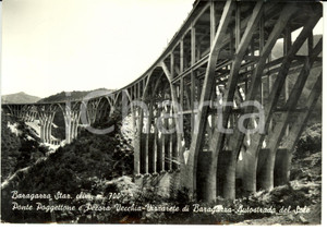 Cartolina originale da collezione 1966 VIZZARETE DI BARAGAZZA BO Ponte POGGETTONE, Pecora VecchiaPostcard FG VG 1