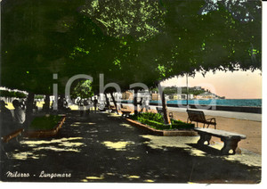 Cartolina originale da collezione 1955 MILAZZO (ME) Lungomare *Cartolina ANIMATA FG VG 1