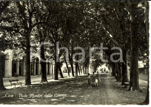 Cartolina originale da collezione 1955 ca CIRIE' (TO) Veduta del viale Martiri della libertÃ  *Cartolina FG NV 1