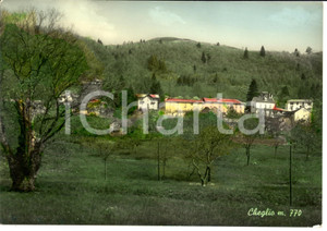 Cartolina originale da collezione 1961 TAINO VA Scorcio panoramico della frazione CHEGLIO Cartolina FG VG 1