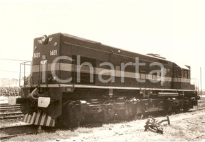 Fotografia d'epoca originale 1970 ca ESPANA - RENFE Locomotiva 1401 *Fotografia 1