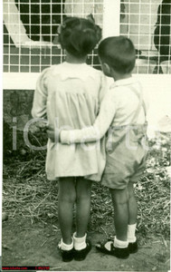 Fotografia d epoca originale 1936 MILANO Bambini all allevamento dei POLLI  Fotografia Keystone 1