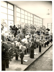 Fotografia d'epoca originale 1930 MILANO Mostra della dalia a PALAZZO DELL'ARTE foto 1