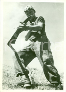 Fotografia d'epoca originale 1942 CORTINA? E' arrivato il tempo della mietitura FOTO 1