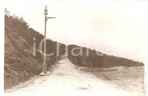 Fotografia d epoca originale 1933 ERICE TP Il nuovo viale di SANTA CROCE nella pineta Fotografia 1