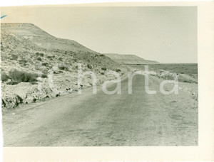 Fotografia d epoca originale 1937 AINELGAZALA LIBIA Veduta della strada litoranea VERA FOTOGRAFIA 1