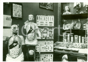 Fotografia d epoca originale 1937 MILANO Padiglione scienze per Giornata Scolaro FIERA CAMPIONARIA Foto 1