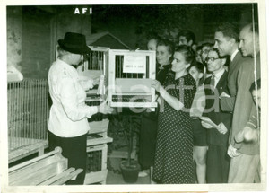 Fotografia d epoca originale 1935 ca ROMA Massaie rurali mostrano gabbietta per ovaiole Foto DANNEGGIATA 1