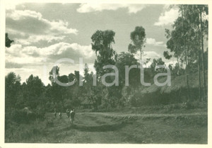 Fotografia d epoca originale 1938 LECHEMTI ETIOPIA AOI Il villaggio nella foresta Fotografia 1