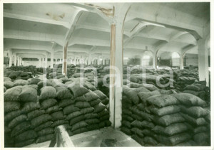 Fotografia d epoca originale 1938 TRIESTE Capannoni del PORTO FRANCO DUCA D AOSTA al Molo VI Fotografia 1