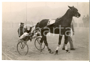 Fotografia d epoca originale 1936 MILANO SAN SIRO Cavallo JAGO CLYDE vincitore del Premio SAN GIUSEPPE 1