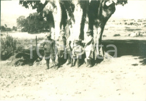 Fotografia d epoca originale 1937 ETIOPIA AOI Ufficiali italiani riposano sotto un baobab Fotografia 1