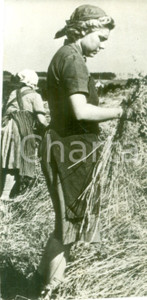 Fotografia d epoca originale 1942 GERMANIA WW2 Giovane contadina al lavoro nei campi Propaganda di guerra 1