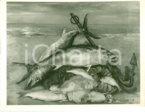 Fotografia d epoca originale 1935 MOSTRE D ARTE Arturo DAZZI Pesci sulla spiaggia Foto quadro con AUTOGRAFO 1