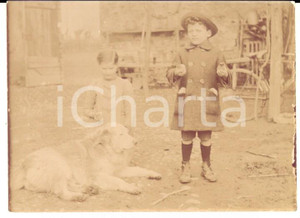 Fotografia d epoca originale PASQUA 1913 COSTUMI Due fratellini con un cane Foto VINTAGE 9x6 cm 1