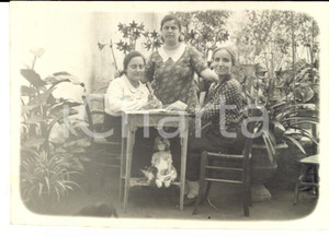 Fotografia d epoca originale 1930 ca NAPOLI Gruppo di donne con bambola e gatto Foto cartolina CURIOSA 1