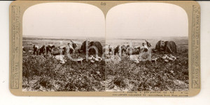 Fotografia d epoca originale 1918 WW1 THE GREAT WAR  Gunners digging a gunposition Stereoscopic nÂ° 56 1