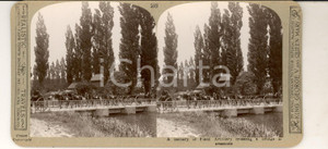 Fotografia d epoca originale 1918 WW1 THE GREAT WAR Field Artillery crossing a bridge Stereoscopica 1