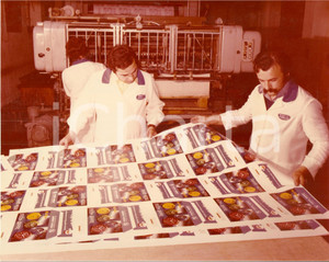 Fotografia d epoca originale 1970 PAVIA Tipografia Mario PONZIO Prove di stampa offset con ROLAND 160 Foto 1