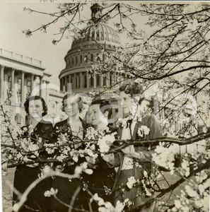 Fotografia d epoca originale 1936 WASHINGTON UNITED STATES CAPITOL Secretaries admiring cherry blossoms Photo 1