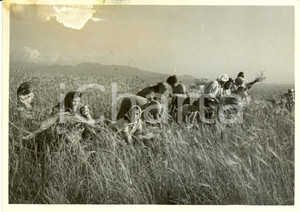 Fotografia d epoca originale 1941 ROMA Giovani donne mietono il grano nella campagna Foto DANNEGGIATA 1