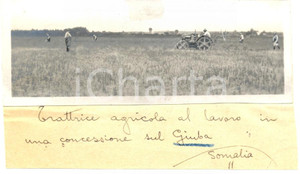Fotografia d epoca originale 1936 GIUBA SOMALIA AOI Trattrice agricola al lavoro in concessione di coloni 1