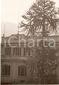 Fotografia d epoca originale 1935 circa STRESA Villa delle Azalee VERA FOTO 1