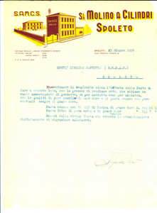 Documento originale, autentico 1950 PAVIA S. A. Molino a cilindri Lettera commerciale su carta intestata 1