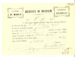 Documento originale, autentico 1878 SAN CASCIANO VAL DI PESA FI VILLA di MURLO  Bestiami Patrimonio SPINELLI 1