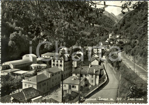 Cartolina originale da collezione 1956 BOGNANCO TERME VB Scorcio panoramico  Cartolina FG VG 1