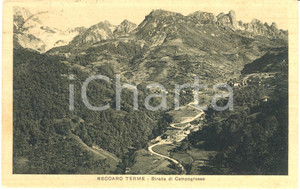 Cartolina originale da collezione 1936 RECOARO TERME VI Veduta strada di CAMPOGROSSO Cartolina postale FP VG 1