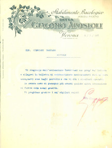 Documento originale, autentico 1928 VERONA Ditta Giacomo APOSTOLI Stabilimento bacologico Lettera commerciale 1
