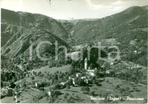 Cartolina originale da collezione 1955 ca ZOGNO BG Panorama della frazione POSCANTE Cartolina FG VG 1