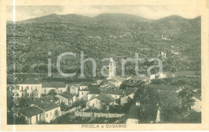 Cartolina originale da collezione 1930 PRIOLA CN Panorama della frazione di CASARIO Cartolina FP VG 1