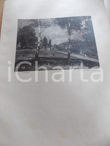 Stampa, bozzetto originale 1950 ca Domenico Riccardo PERETTI GRIVA  TORINO Valentino  Stampa 31x42 1