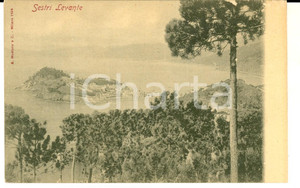 Cartolina originale da collezione 1900 ca SESTRI LEVANTE GE Veduta panoramica dall alto Cartolina FP NV 1