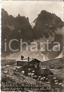 Cartolina originale da collezione 1950 SAN MARTINO DI CASTROZZA Baita SEGANTINI Gruppo delle Pale Cartolina FP VG 1
