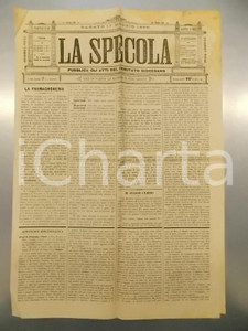 Giornale, rivista storica 1893 PADOVA  LA SPECOLA Atti del comitato diocesano Settimanale anno IX n.20 1