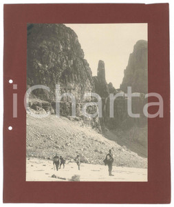 Fotografia d epoca originale 1900 ca DOLOMITI DI BRENTA Campanile Basso BRENTA ALTA Vedretta della Tosa Foto 1