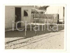 Fotografia d epoca originale 1970 ca MOZAMBICO Giochi di un bambino in un villaggio  Foto VINTAGE 11x8 cm 1