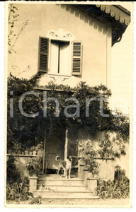 Fotografia d epoca originale 1934 LODI Ingresso di un villino di campagna Foto cartolina ANIMATA cane 1